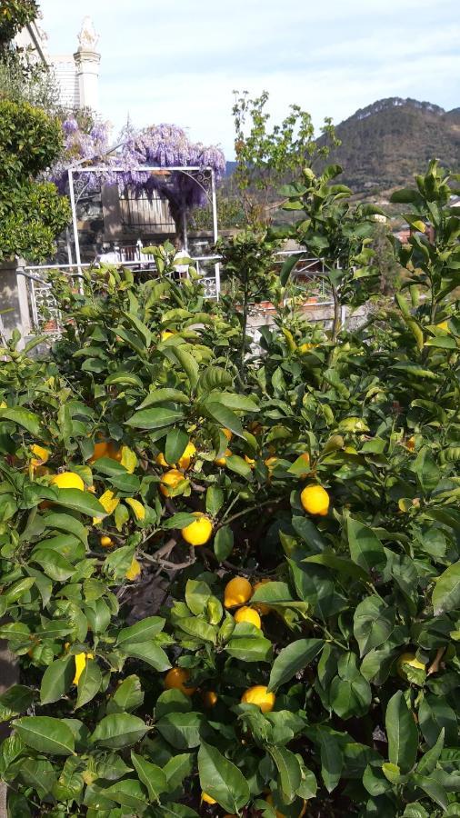 I Limoni Gia Torretta Διαμέρισμα Λεβάντο Εξωτερικό φωτογραφία